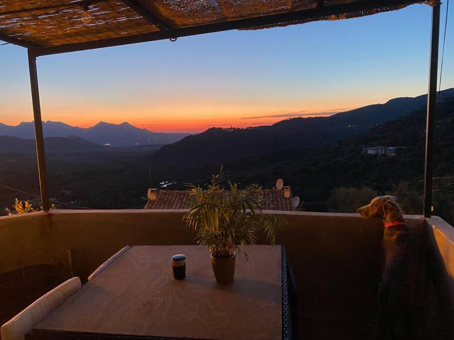 Maison De Caractere, Zilia, Au Pied Du Montegrossu Kültér fotó